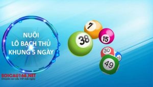 l&ocirc; nu&ocirc;i khung 5 ng&agrave;y