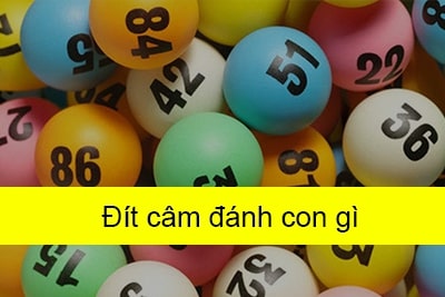 Kinh nghiệm giải đáp đít 8 câm đánh con gì