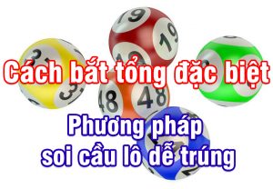 C&aacute;ch luận đề t&iacute;nh l&ocirc; đặc biệt